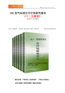 LNG加气站项目可行性研究报告(立项格式范文)