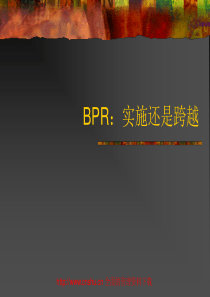 BPR(企业流程重组)-typhoon23