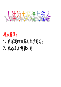 高考生物一轮复习精美课件：必修三  1 人体的内环境与稳态