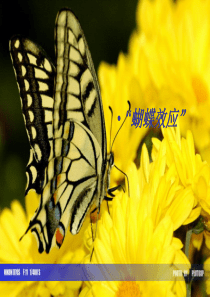 蝴蝶效应( The Butterfly Effect