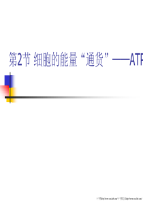 ATP-高中一年级生物课件