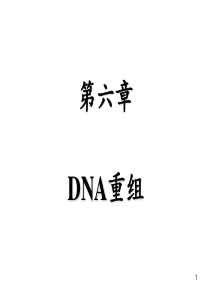 DNA的重组与转座