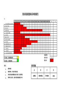 供应商质量体系审核报告