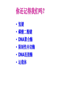 DNA重组技术的基本工具(讲课)-副本