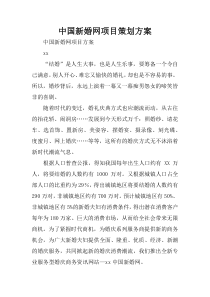 中国新婚网项目策划方案