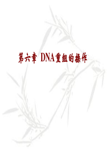 DNA重组的操作