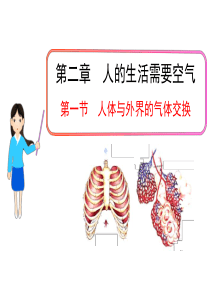 七年级生物下册 第二章 第一节 人体与外界的气体交换课件 济南版