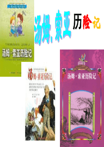 《汤姆索亚历险记》人教版六年级下册语文优秀课件完整版完美版