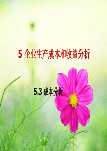 53成本分析