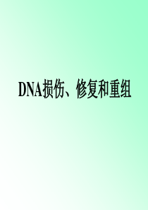 F_DNA 损伤、修复和重组