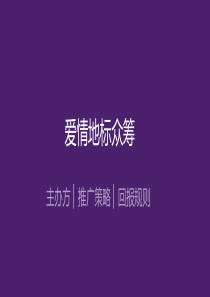 众筹案例30