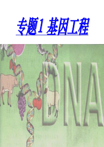 DNA重组技术的基本工具(动画很经典)