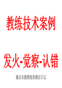 教练技术案例--发火降温认错-摘自东勤