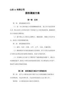 山东XX公司股权激励方案