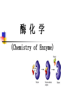 生物化学--酶化学PPT课件