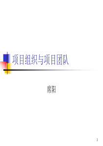 2项目组织与项目团队