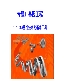 06DE产品说明书