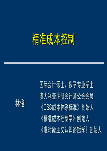 CSS-精准成本控制