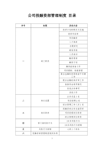 投融资管理制度(初定本)模板