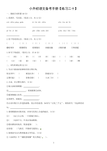 全国卷2019-2020年六年级下小升初语文试卷(含答案)