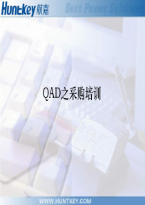 QAD采购培训