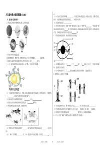 八年级生物下册识图题