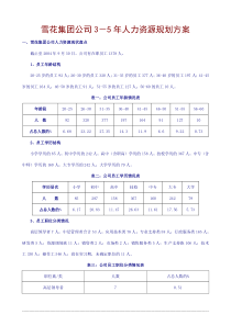 《雪花公司3-5年人力资源规划方案》(doc_15)