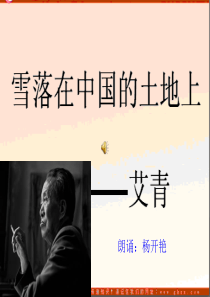 《雪落在中国的土地上》演讲稿