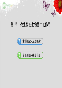 2013年八年级生物上册 第十八章 生物圈中的微生物 5.18.1微生物在生物圈中的作用课件 北师大