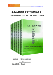 半导体照明项目可行性研究报告(专业经典案例)