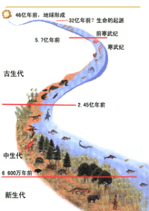 追寻生命的起源  人民版专题七第二节