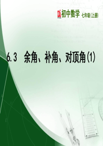 6.3  余角、补角、对顶角  (1)校公开课课件