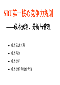 SBU第一核心竞争力规划—成本规划、分析与管理(2)