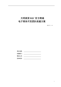 电子商务开发团队组建方案(DOC)