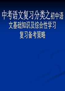 中考语文复习分类之初中语文基础知识及综合性学习复习备考策略