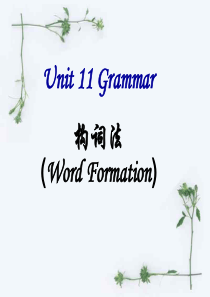 高二英语unit11 grammar