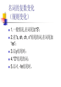 小升初英语语法复习-名词复数