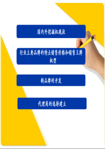 各品牌及代理商市场分析报告