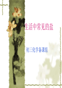 课题1、生活中常见的盐-ppt课件1、2