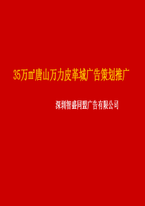 35万㎡唐山万力皮革城广告策划推广