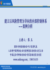 案例分析——以风险管理为导向的内部控制体系(-新)