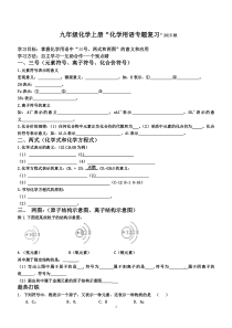 九年级化学上册“化学用语专题复习”