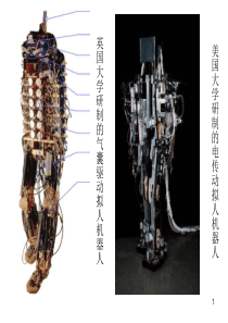 先进制造技术06先进机器人报告0239