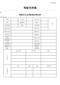 驾驶员档案表格模板