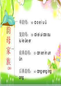 9复韵母er的教学