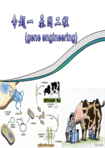 专题一基因工程选修三DNA重组技术的基本工具,基因工程