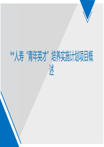 青年营销队伍培养实施计划项目概述