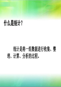 苏教版小学六年级数学下册总复习统计与可能性