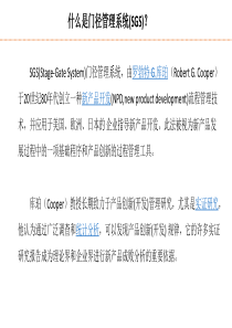 门径管理系统(Stage-Gate-System-SGS)