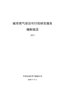 城市燃气项目可行性研究报告编制规定